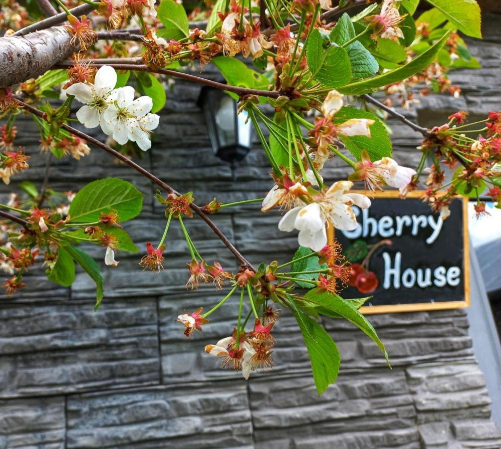 Cherry House Stepancminda Exteriér fotografie